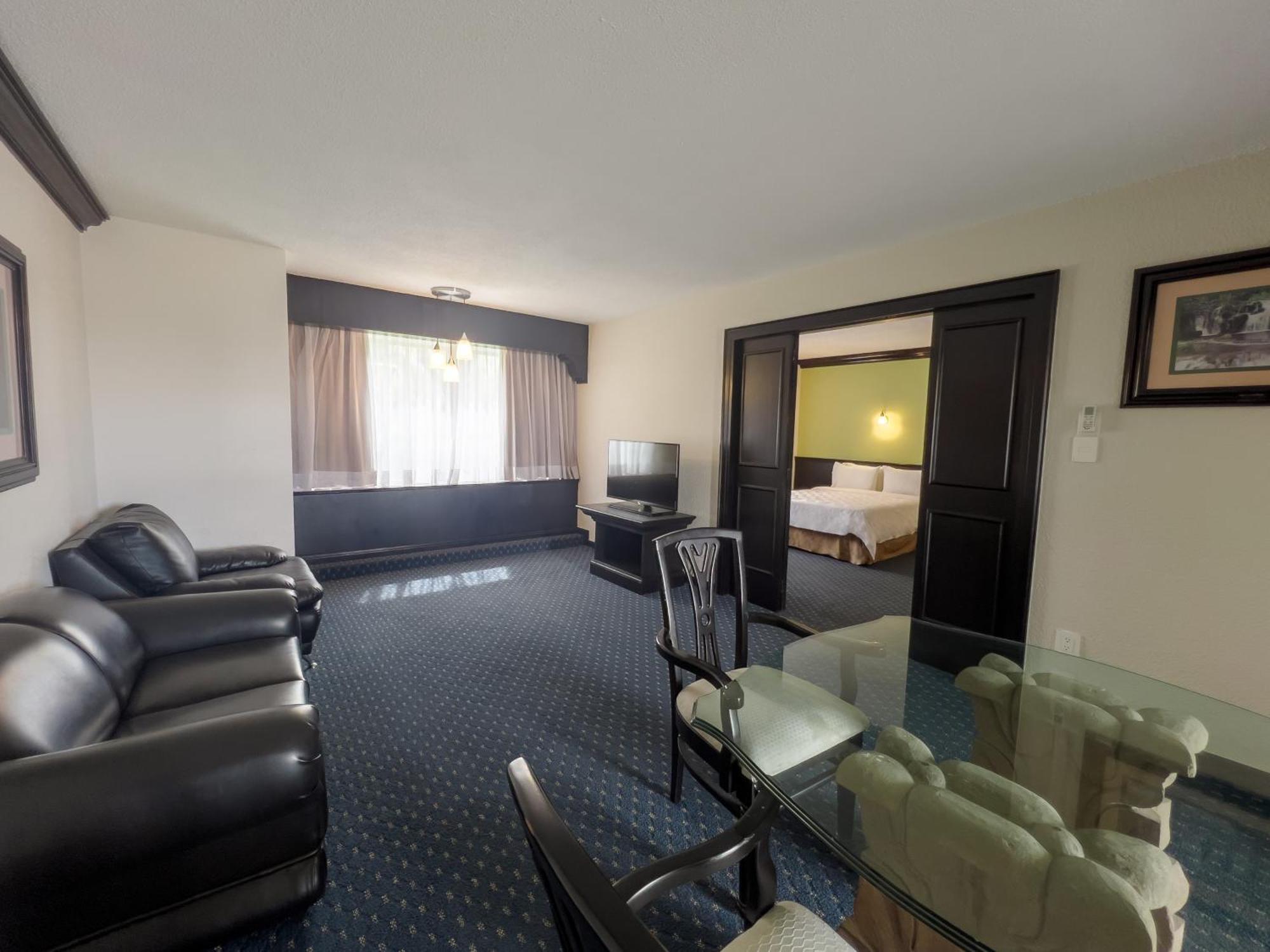 Holiday Inn San Luis Potosi-Quijote By Ihg Exterior photo